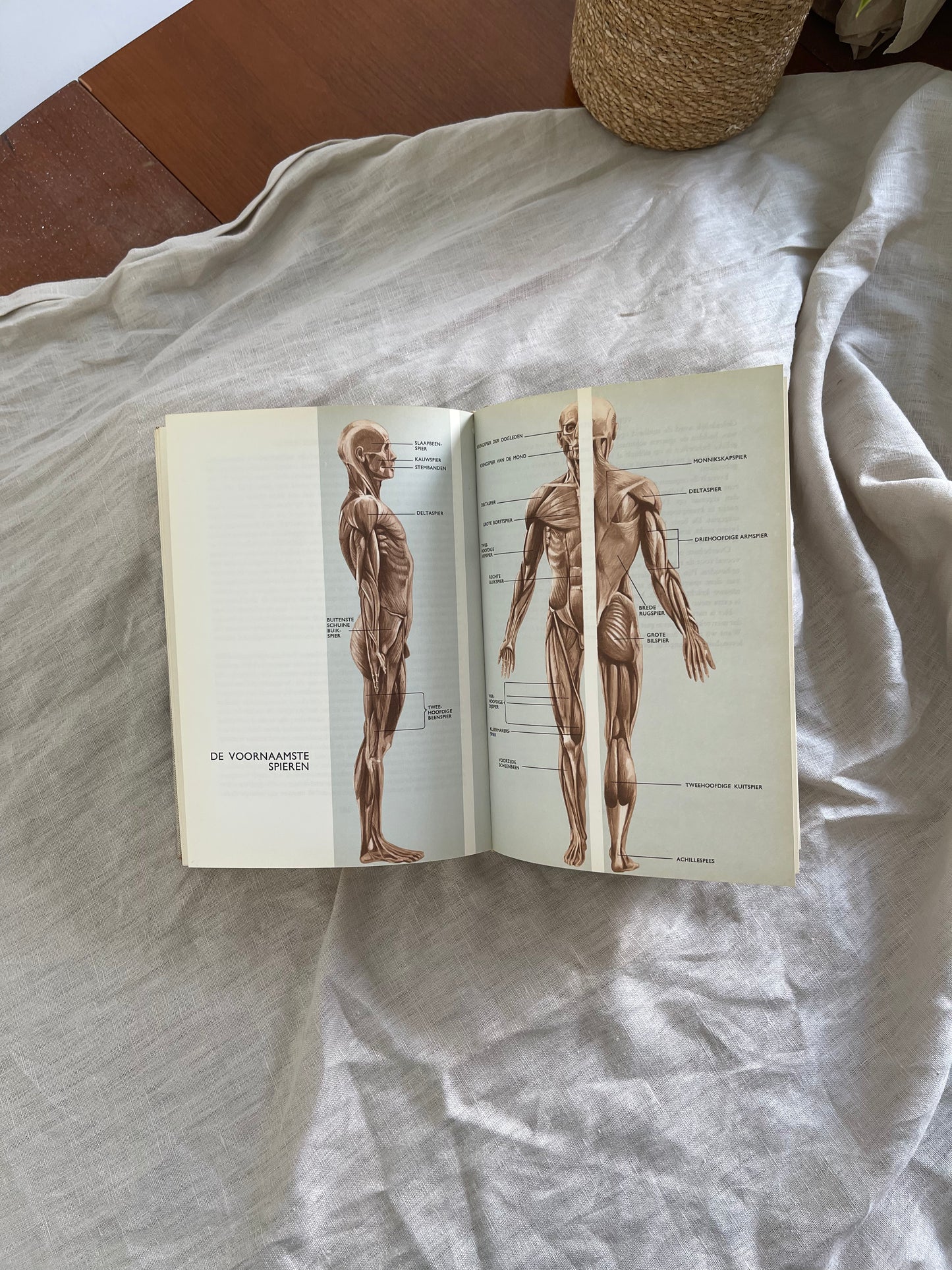 The Miracle of the Human Body Part 1