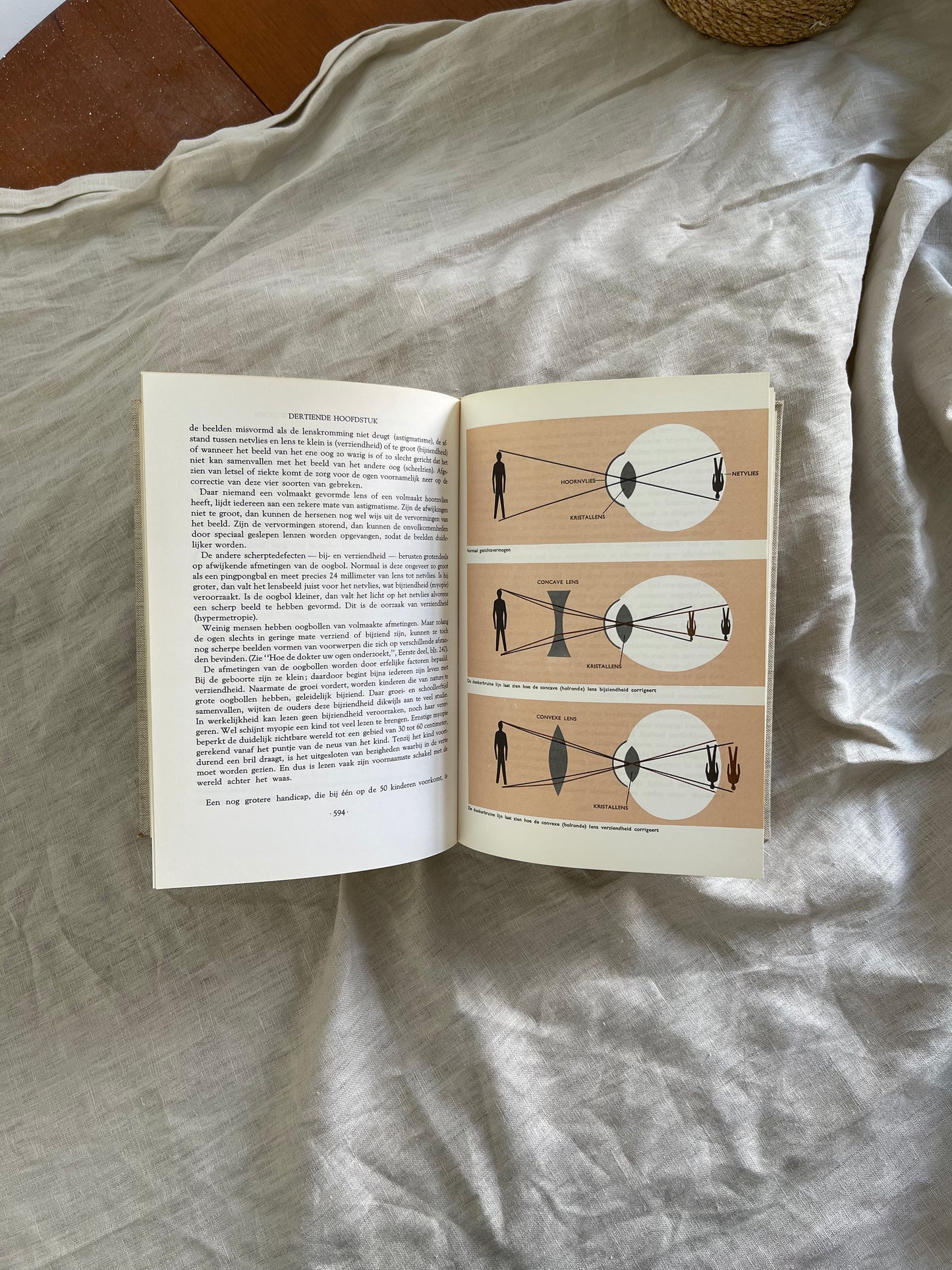 Copy of The Miracle of the Human Body Part 2