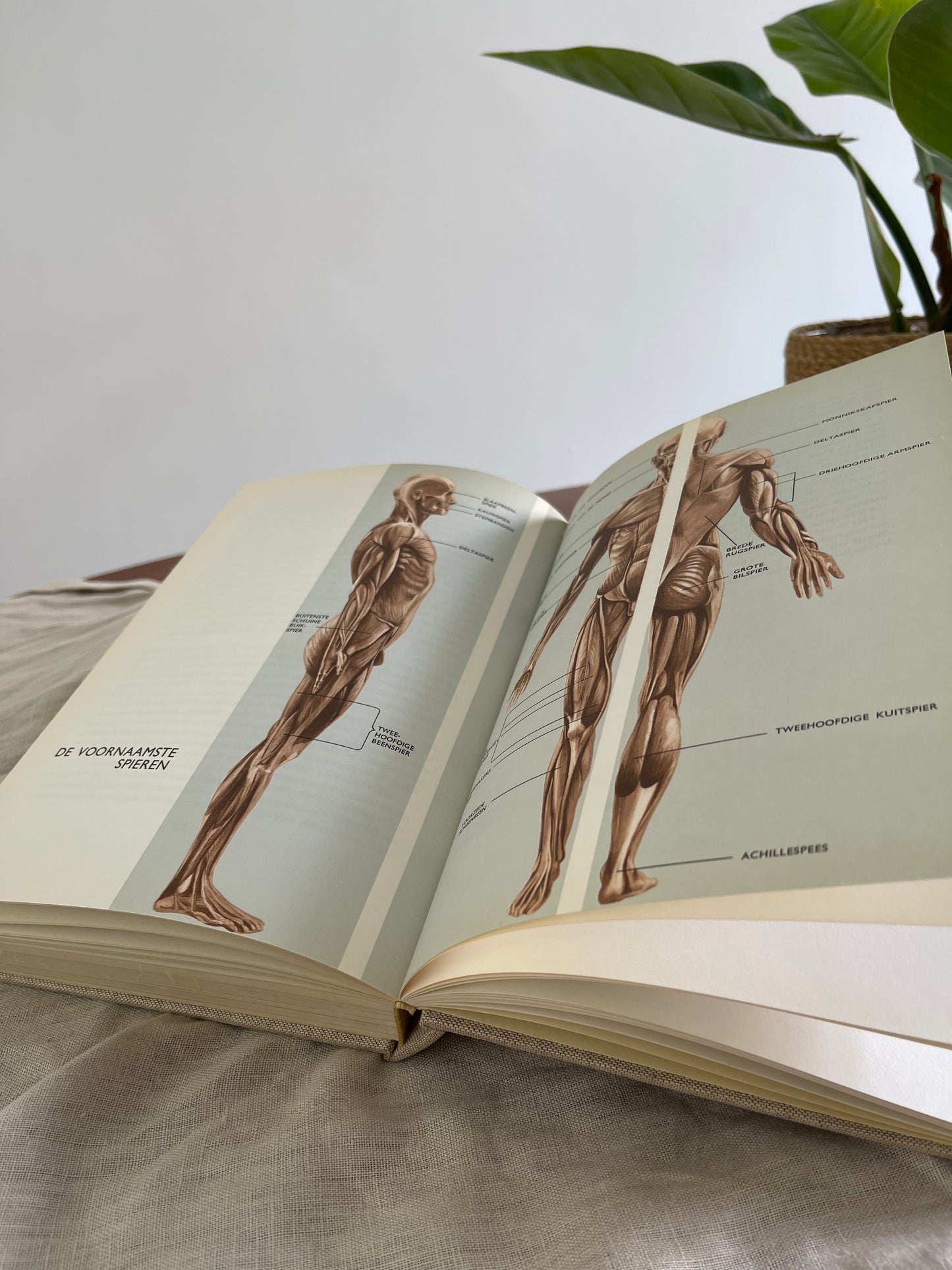 The Miracle of the Human Body Part 1