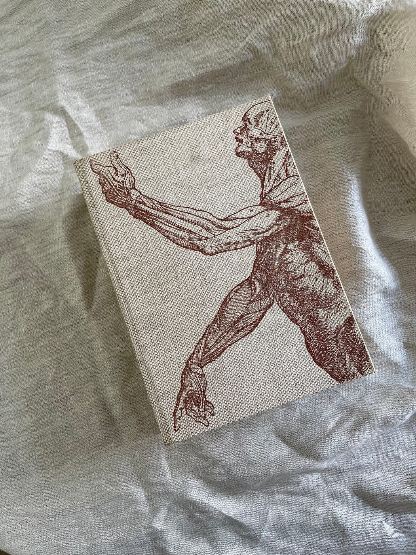 Copy of The Miracle of the Human Body Part 2