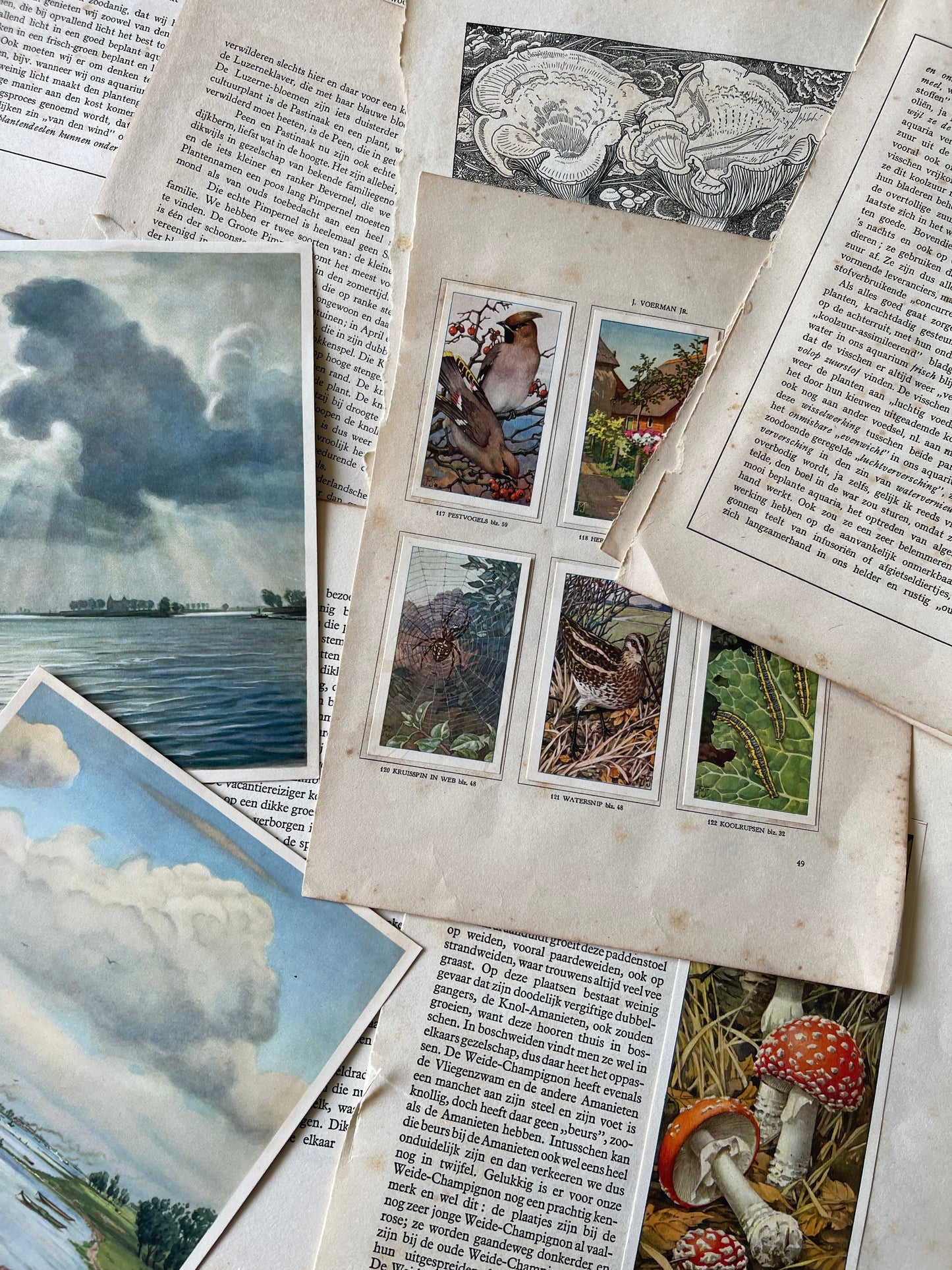 Vintage Papier | Junk Journal papier | scrapbooking kit viaviavintage
