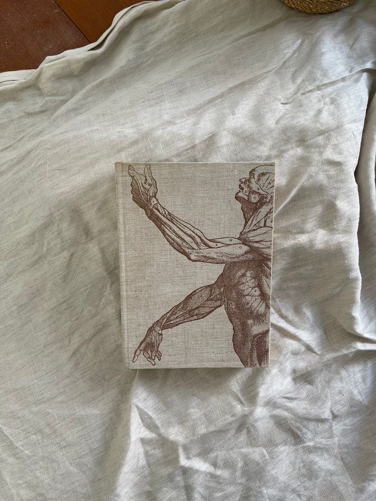 The Miracle of the Human Body Part 1